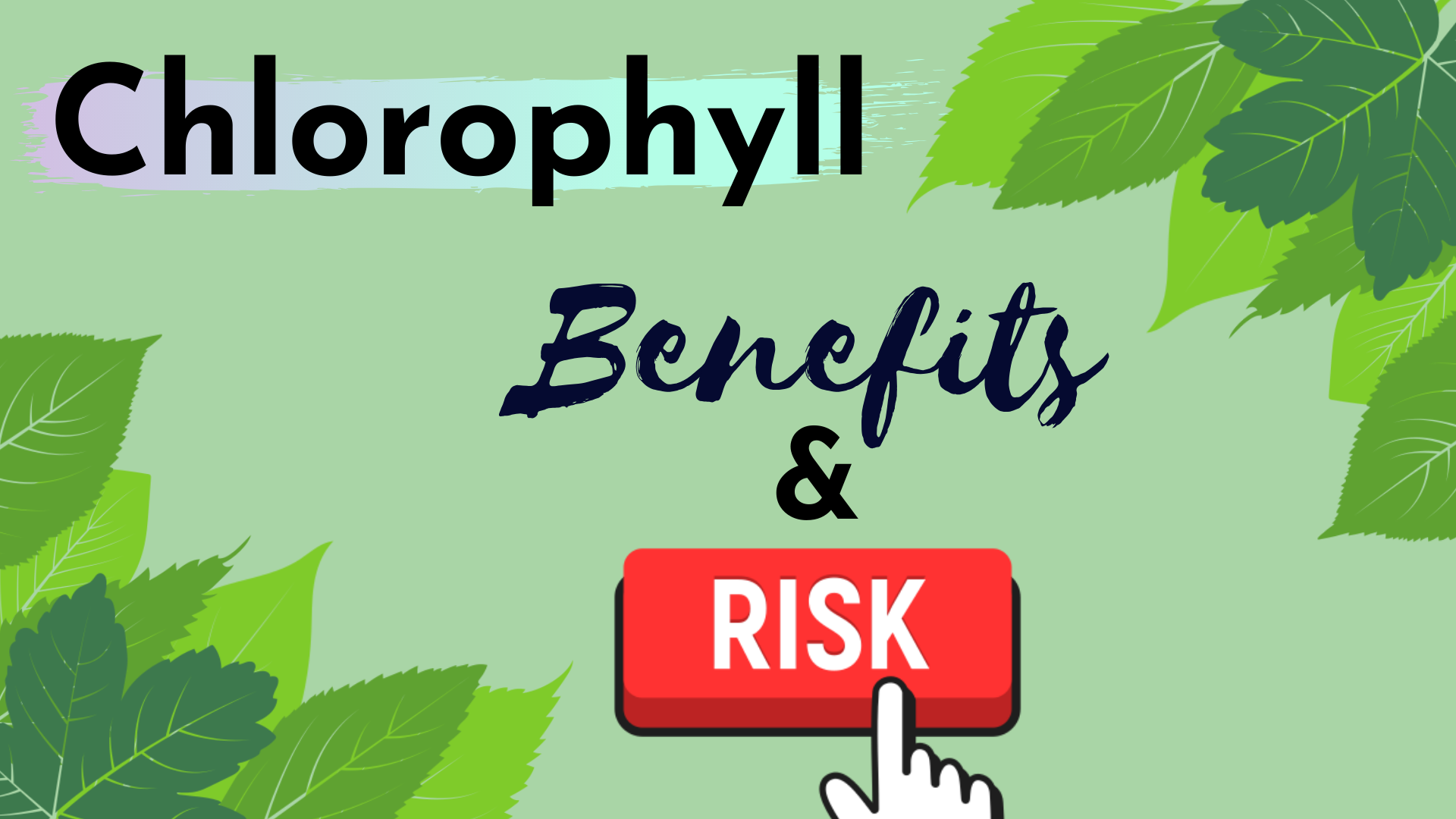 Chlorophyll; Benefits and Risks
